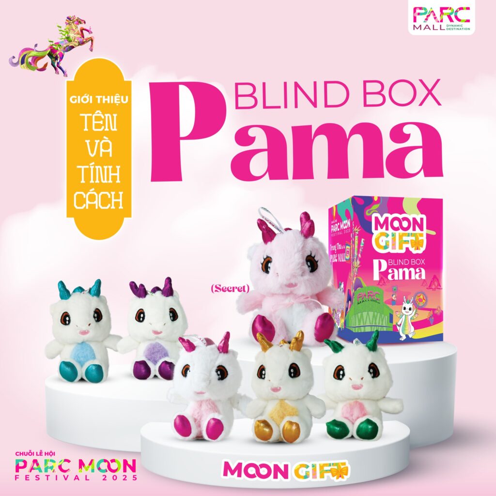 PAMA BLIND BOX