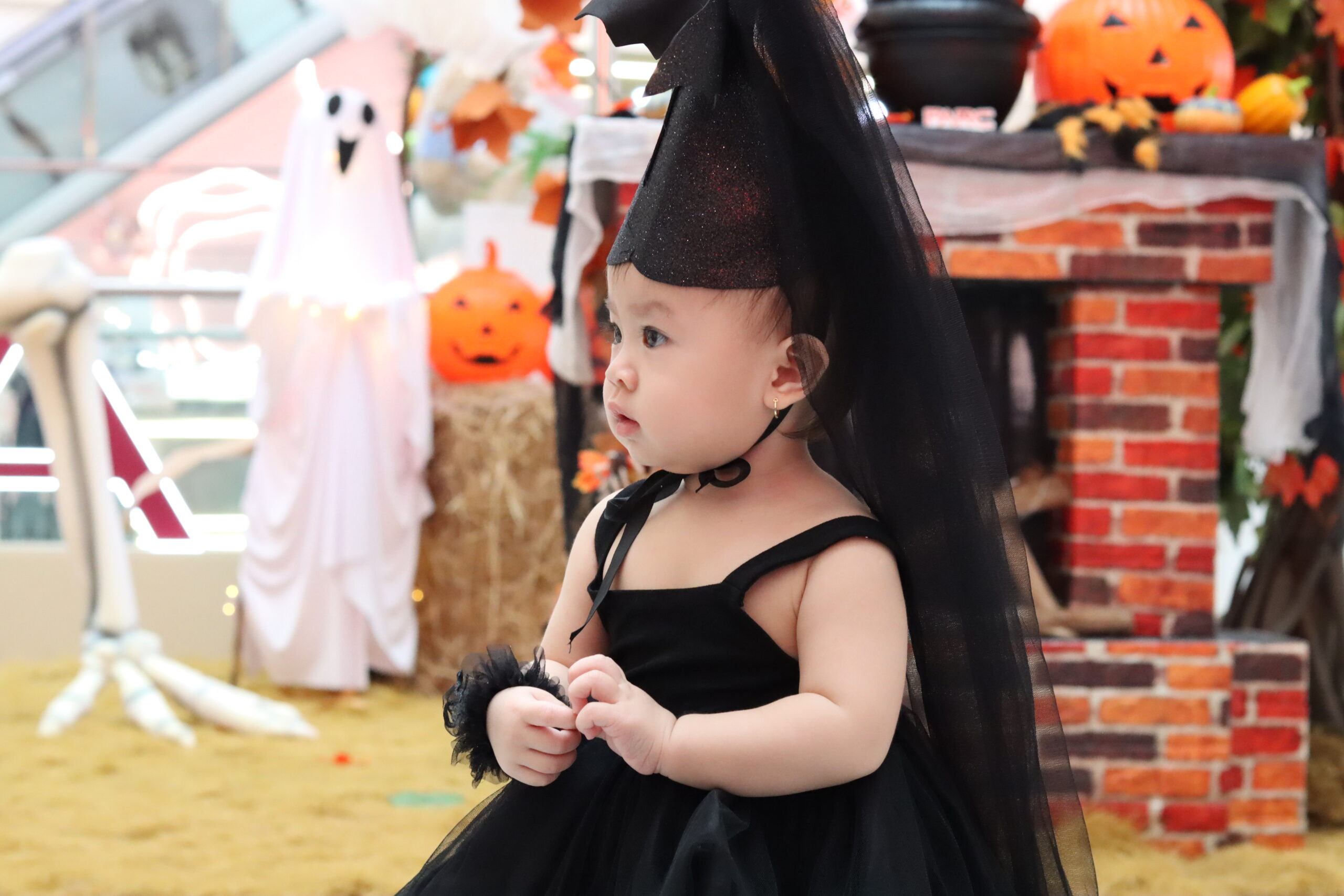 Cô bé phù thủy nhỏ loay hoay tìm quả bí ngô của mình