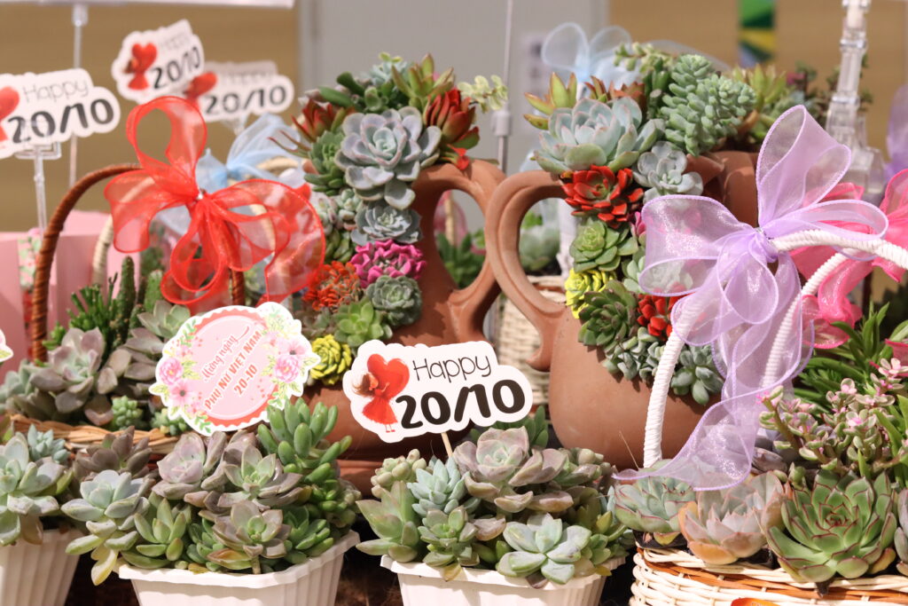 Quà tặng 20/10 tại AEON Tạ Quang Bửu PARC MALL