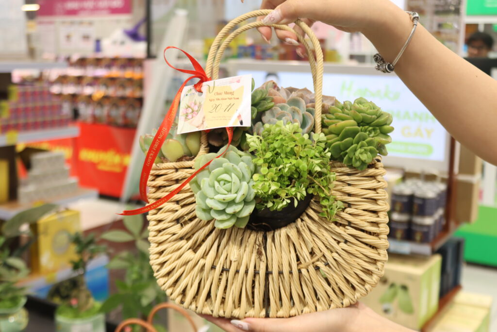 Giỏ hoa sen đá gửi đến thầy cô